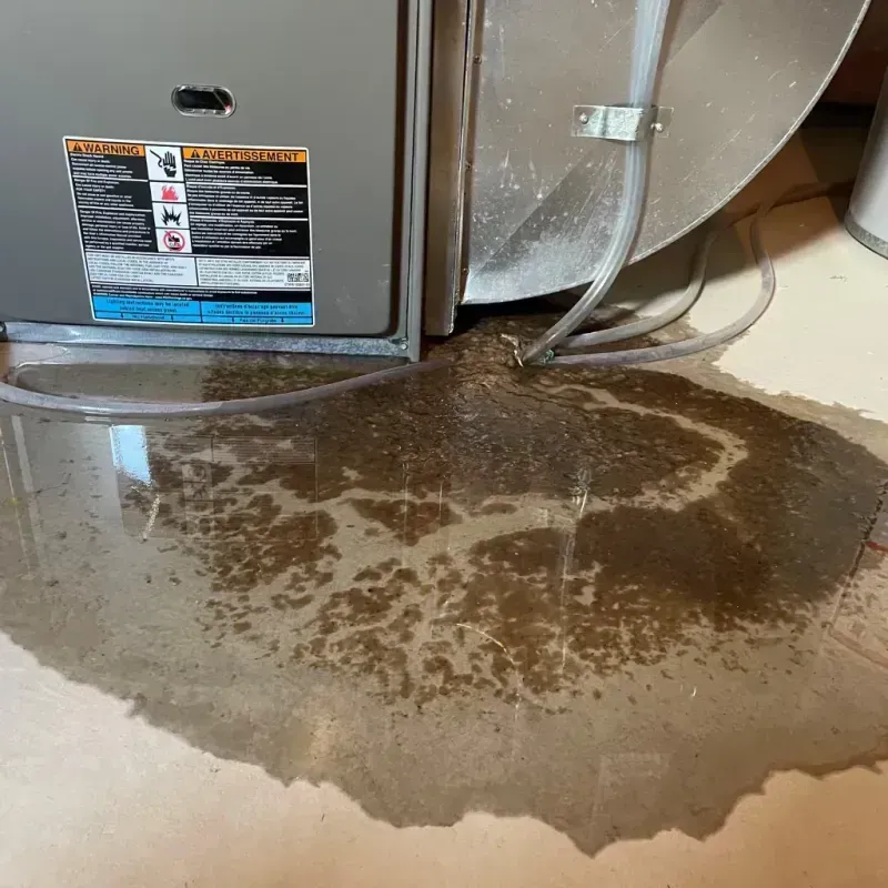 Appliance Leak Cleanup in Smithfield, VA